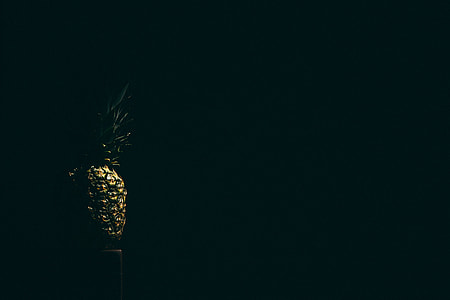 minimalist photography of pineapple thumbnail