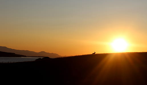 sunset photography thumbnail