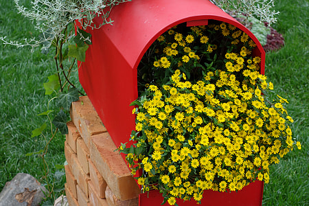 Red Postbox, Yellow Flower thumbnail