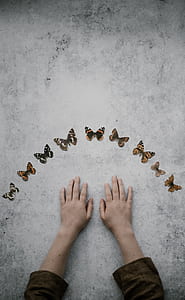 person's hands surrounded with butterflies thumbnail