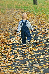 toddler walking on dried leaves covered road thumbnail