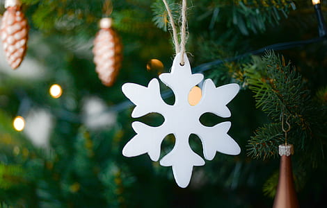 white snowflake selective photography thumbnail