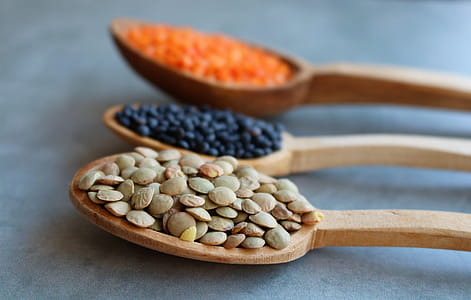 Lentils in three colors thumbnail