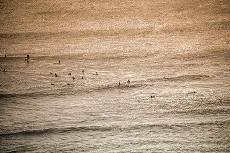 group of people swimming on sea thumbnail