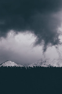 photography of trees with white mountain as background thumbnail