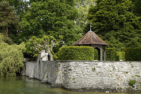 green leafed trees and body of water thumbnail