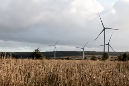 wind mill on farm thumbnail