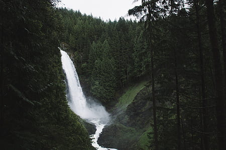 waterfalls in the middle of forest thumbnail