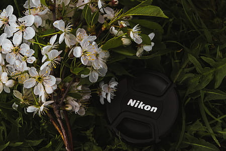 Black Nikon Dslr Camera Lens Cover Near White Petaled Flowers thumbnail