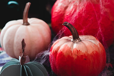four assorted-color pumpkins with thread thumbnail