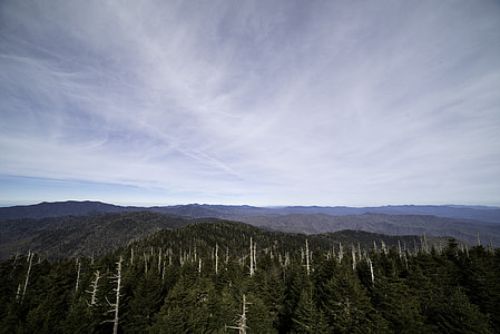 Majestic landscape of the top of the blue ridge mountains from Clingman's Dome, Tennessee thumbnail