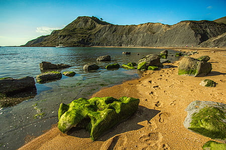gray rocks near seashore in front of cliff thumbnail