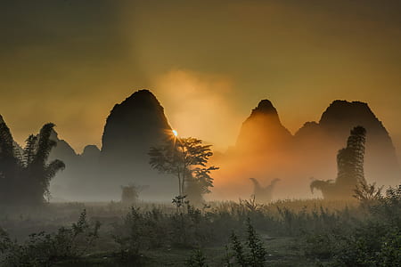 silhouette photography of mountain range and trees thumbnail