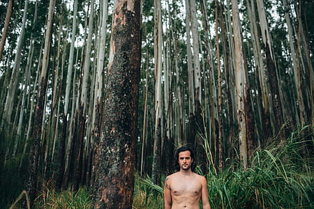 topless man standing beside the tree in the forest thumbnail