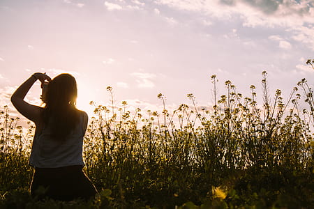 silhouette photo of person taking photo on flowers thumbnail