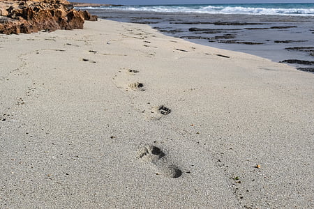 footprints mark on shoreline thumbnail