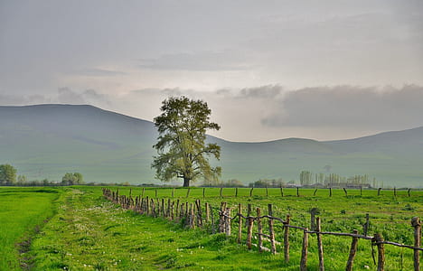 landscape photography of green grass field under gray sky thumbnail