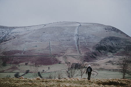 person standing beside bare trees near mountain thumbnail
