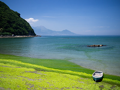 white wooden Jon boat on the seashore during daytime thumbnail