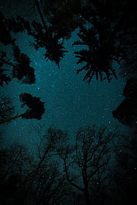 birds eye view photography of starry night thumbnail