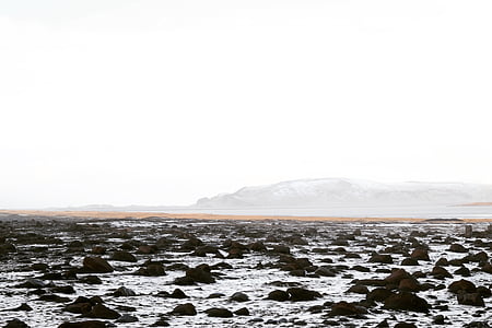 rocky shore thumbnail