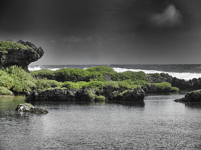 grayscale photography of green grass near body of water thumbnail