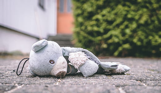 bear lying on ground thumbnail