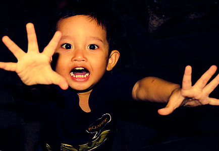 toddler boy in black crew-neck t-shirt posing for photo thumbnail