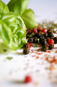 black and red berries near green plant thumbnail
