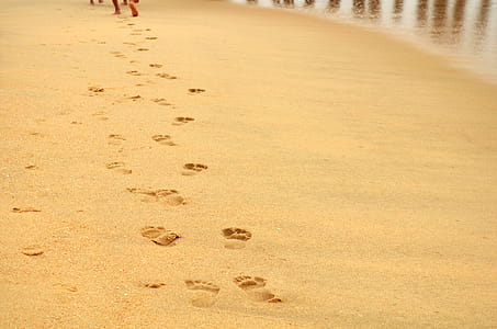 Footprints on beach thumbnail