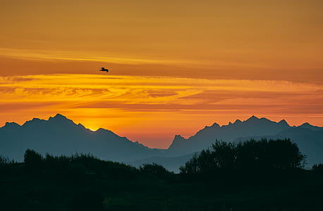 black trees near mountain under brown sky at golden hour thumbnail