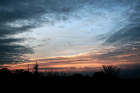 silhouette of grass during sunset thumbnail