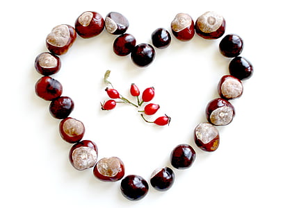 close-up photo of red cherries thumbnail