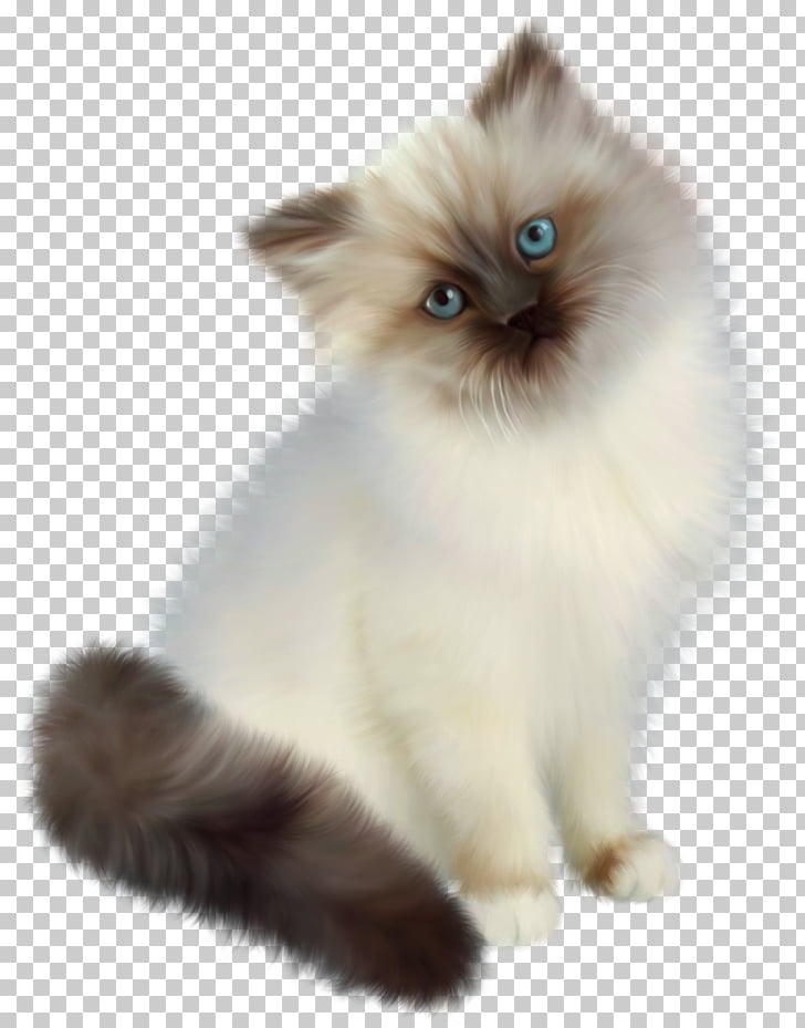 Siamese Cat Ragdoll Birman Dog Flowers And Floral Pattern