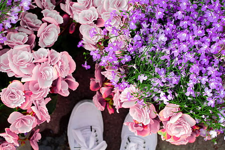 Assorted Flower Lot thumbnail