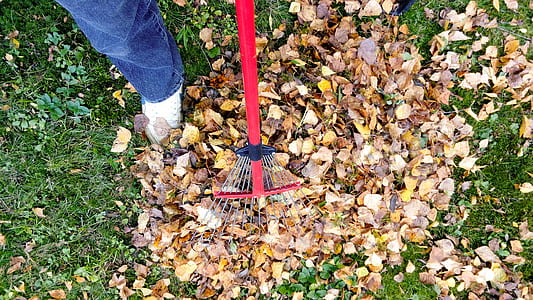 person holding red rake thumbnail