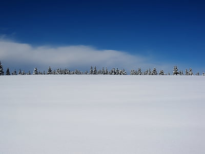 trees on snow covered mountain thumbnail