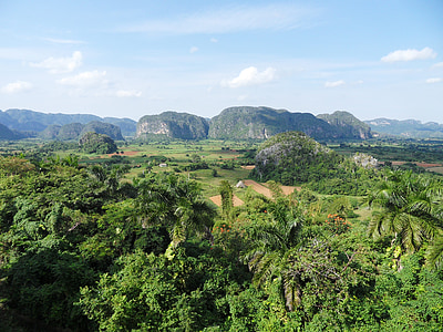 bird's eye photography of green trees and mountian thumbnail