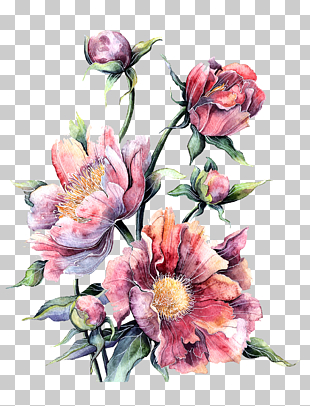 Flower Watercolor painting Floral design Printing, Watercolor pink peony in full bloom, pink-and-red roses PNG clipart