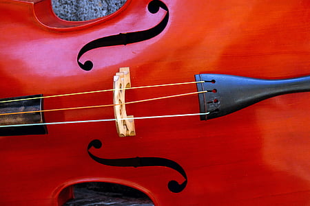 brown stringed instrument thumbnail