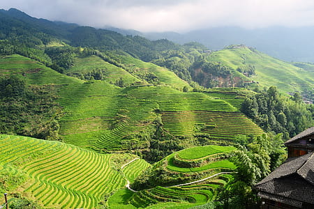 Banaue Rice Terraces thumbnail