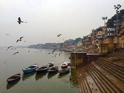 village beside body of water surrounded with boats with birds flying thumbnail