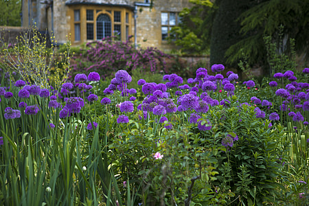 Hidcote Manor, Lawrence Johnson'S Garden thumbnail