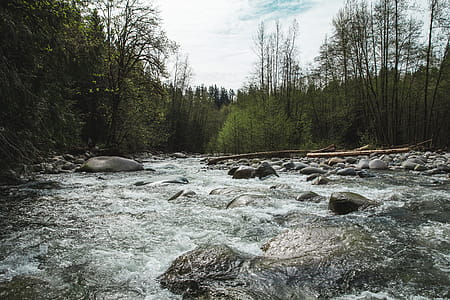 River rapids in the mountains surrounded by pebble stones and trees thumbnail