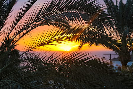 light, sea, nature, sky thumbnail