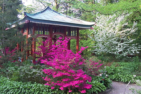 brown gazebo near trees and plants thumbnail