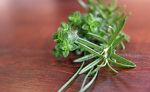 green leafed plant thumbnail
