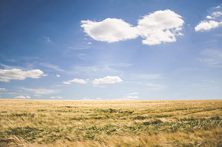 brown grass field under white cloudy photography thumbnail