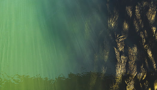 green and black abstract digital wallpaper thumbnail
