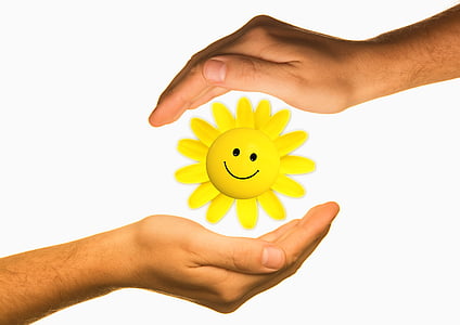 human hands and yellow daisy flower wallpaper thumbnail
